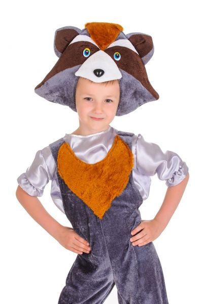 «Крошка-єнот» карнавальний костюм для хлопчика