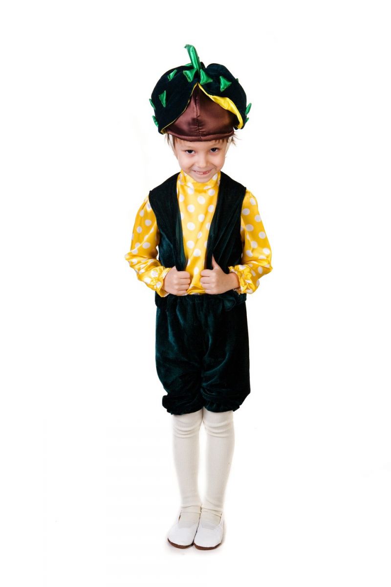 Масочка - «Каштанчик» карнавальный костюм для мальчика / фото №181