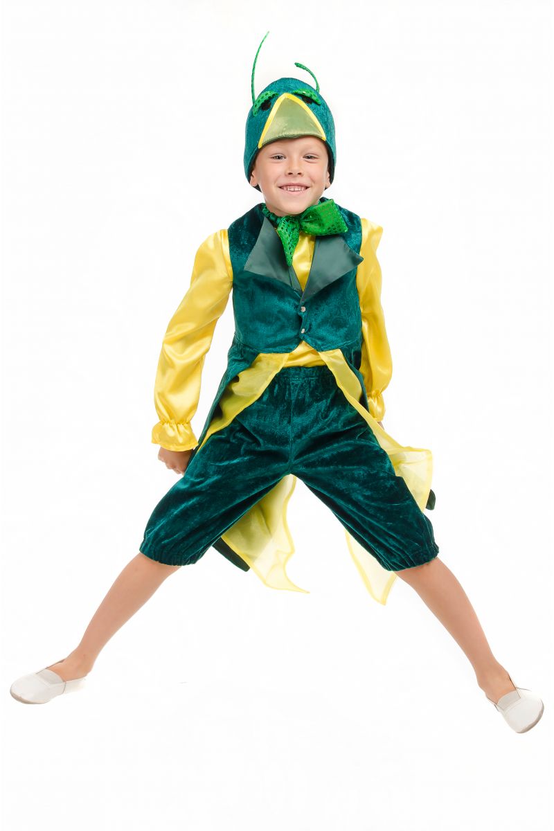 Масочка - «Кузнечик» карнавальный костюм для мальчика / фото №1831