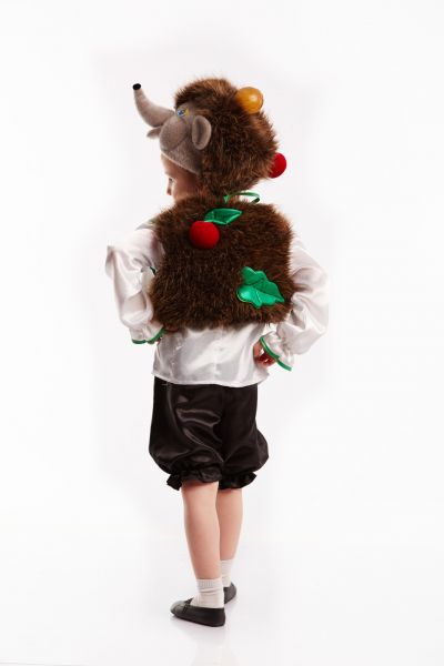 Їжачок «Лісовий» карнавальний костюм для хлопчика