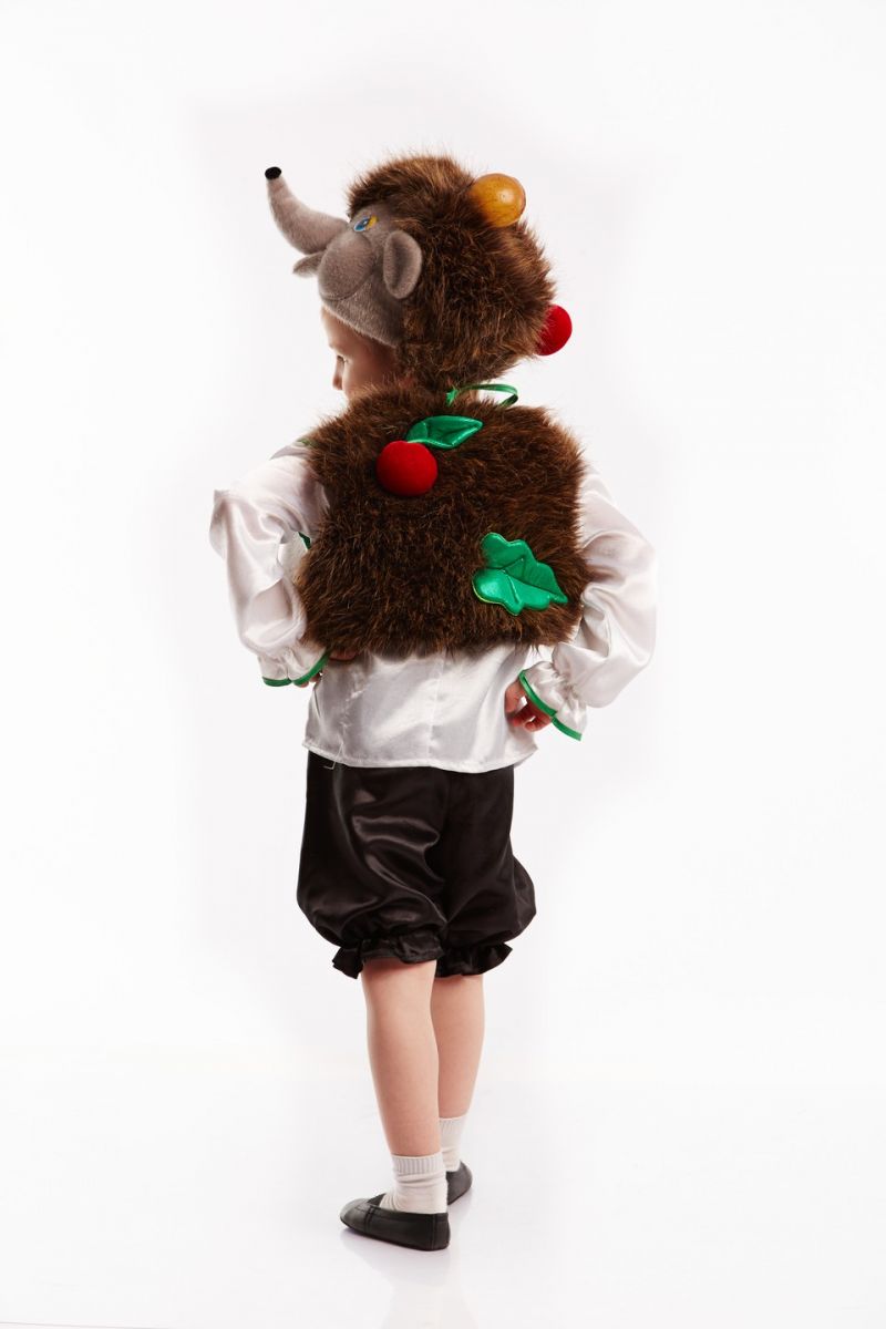 Масочка - Їжачок «Лісовий» карнавальний костюм для хлопчика / фото №462