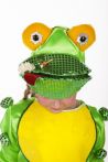 «Жабеня» карнавальний костюм для дітей - 764